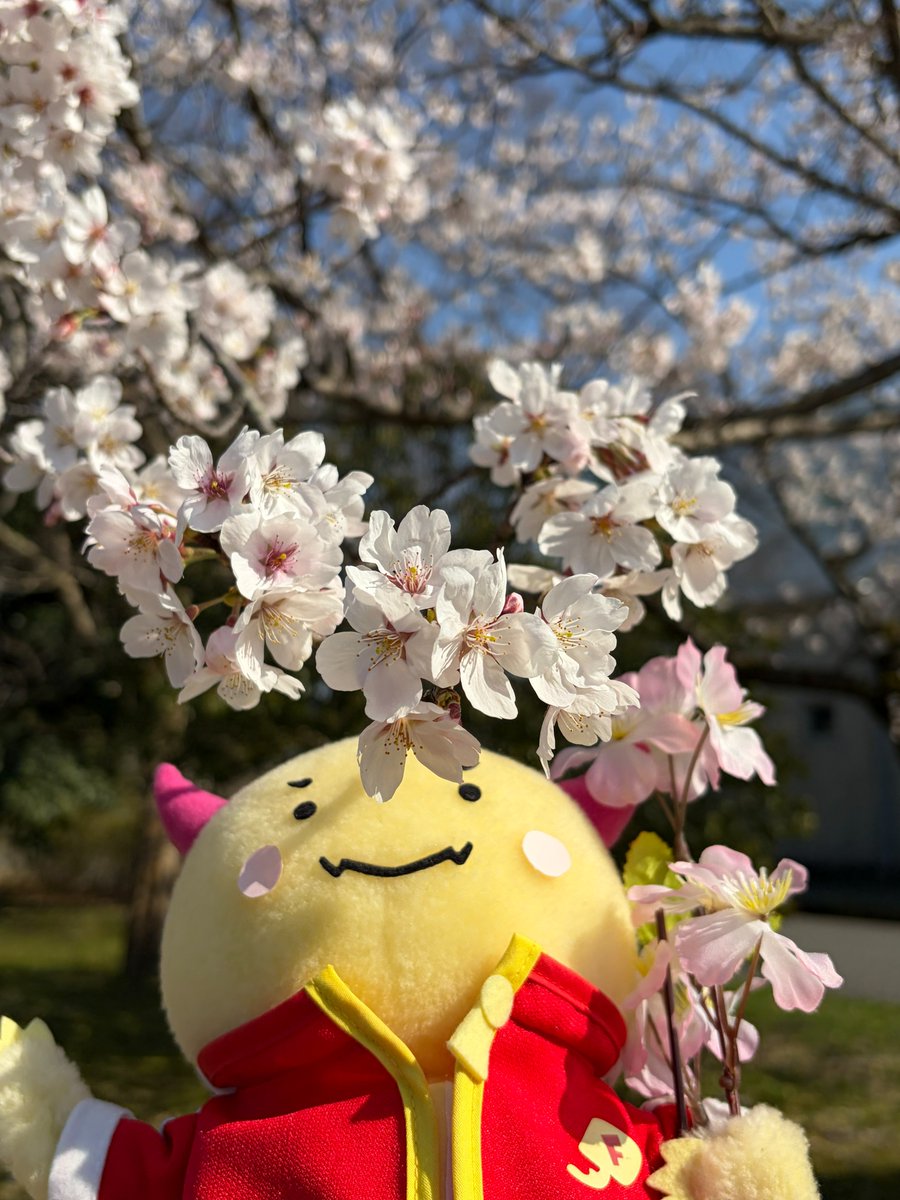 福井県立大学 tweet media