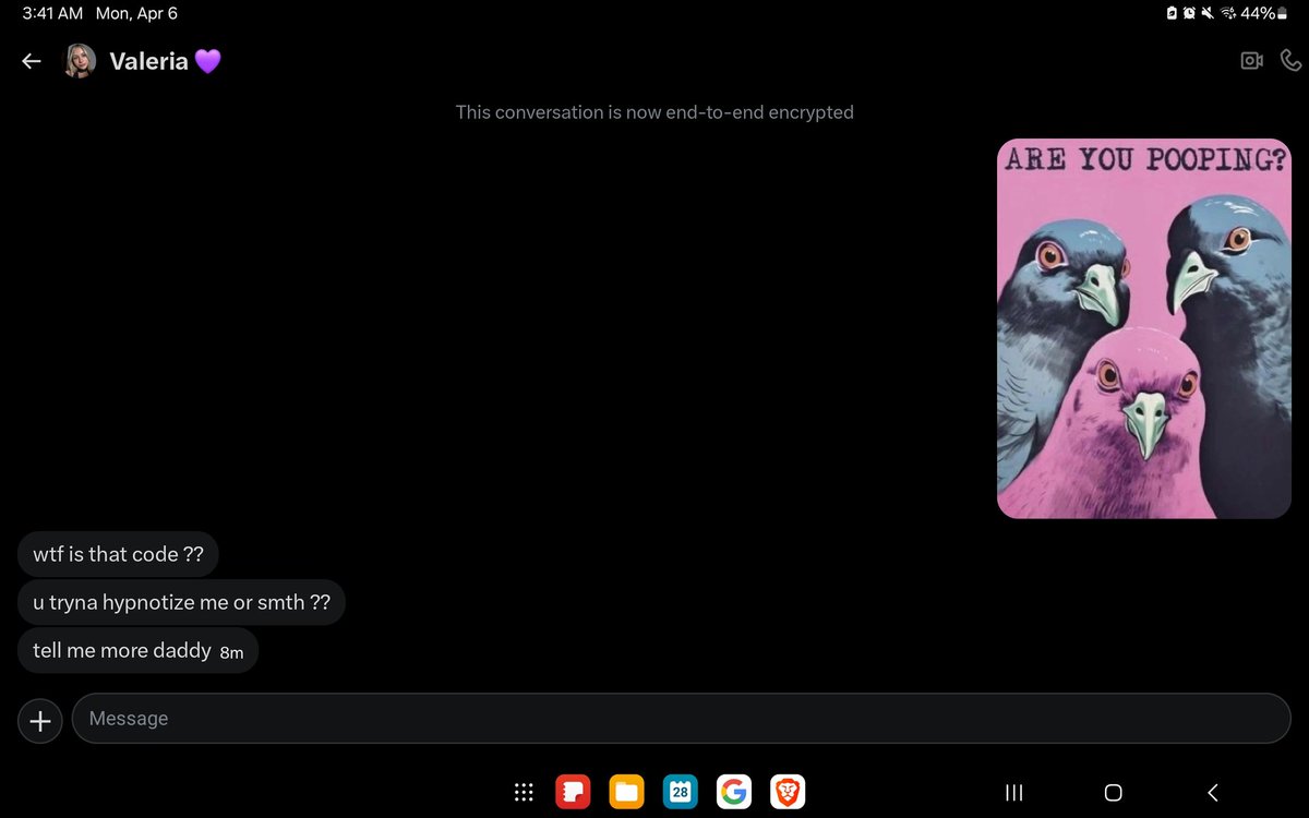 FlashTiger 🦜 tweet media