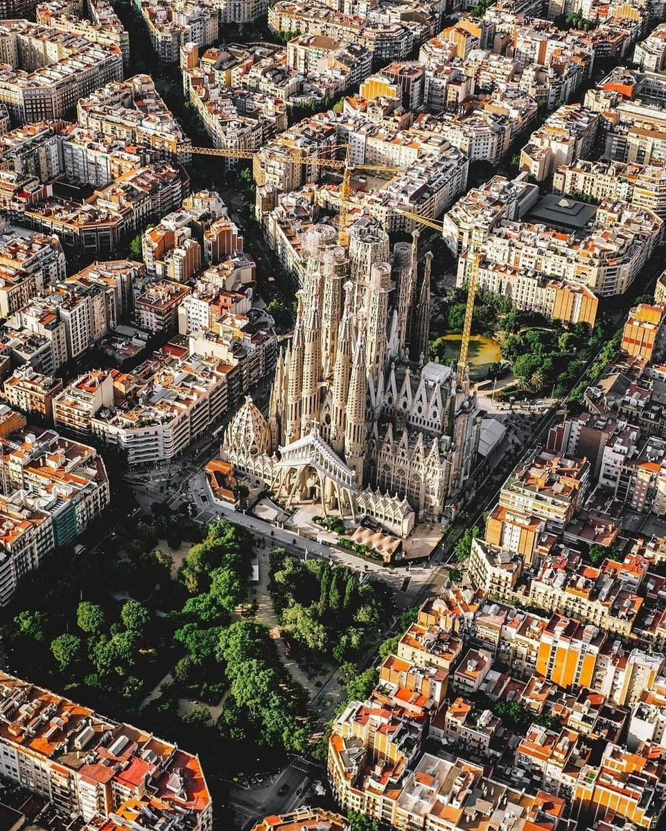 Aqua Vibes tweet media