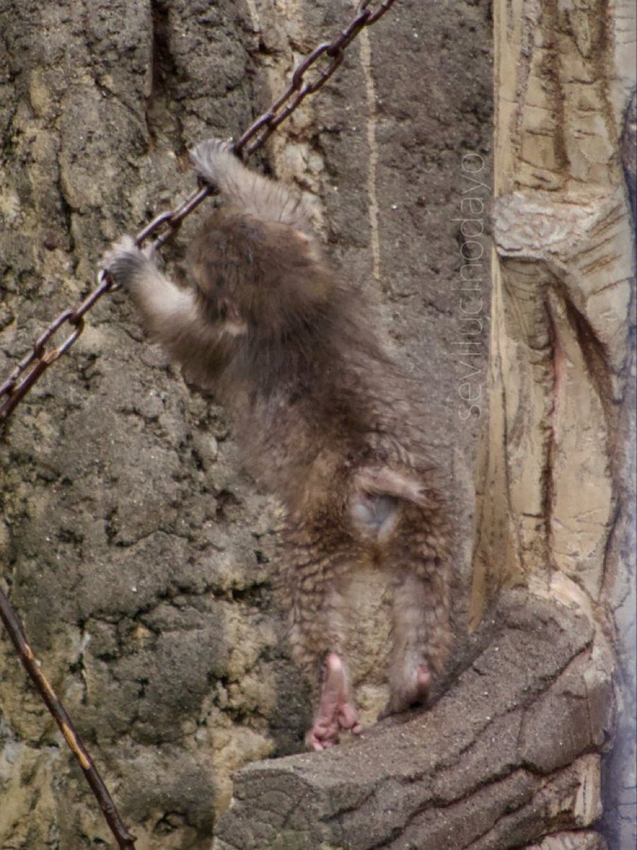 haru (punch/acc) tweet media