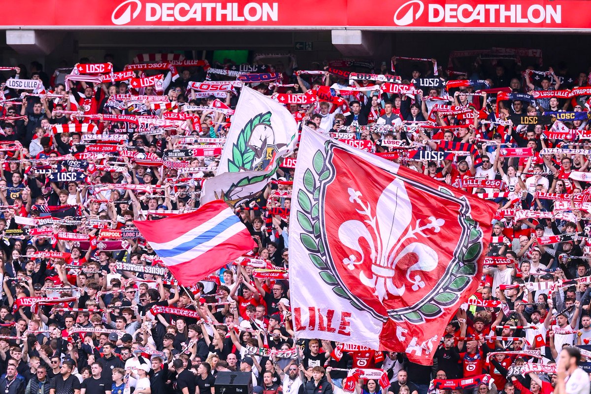 LOSC FANS ONLINE 🔴⚪ tweet media