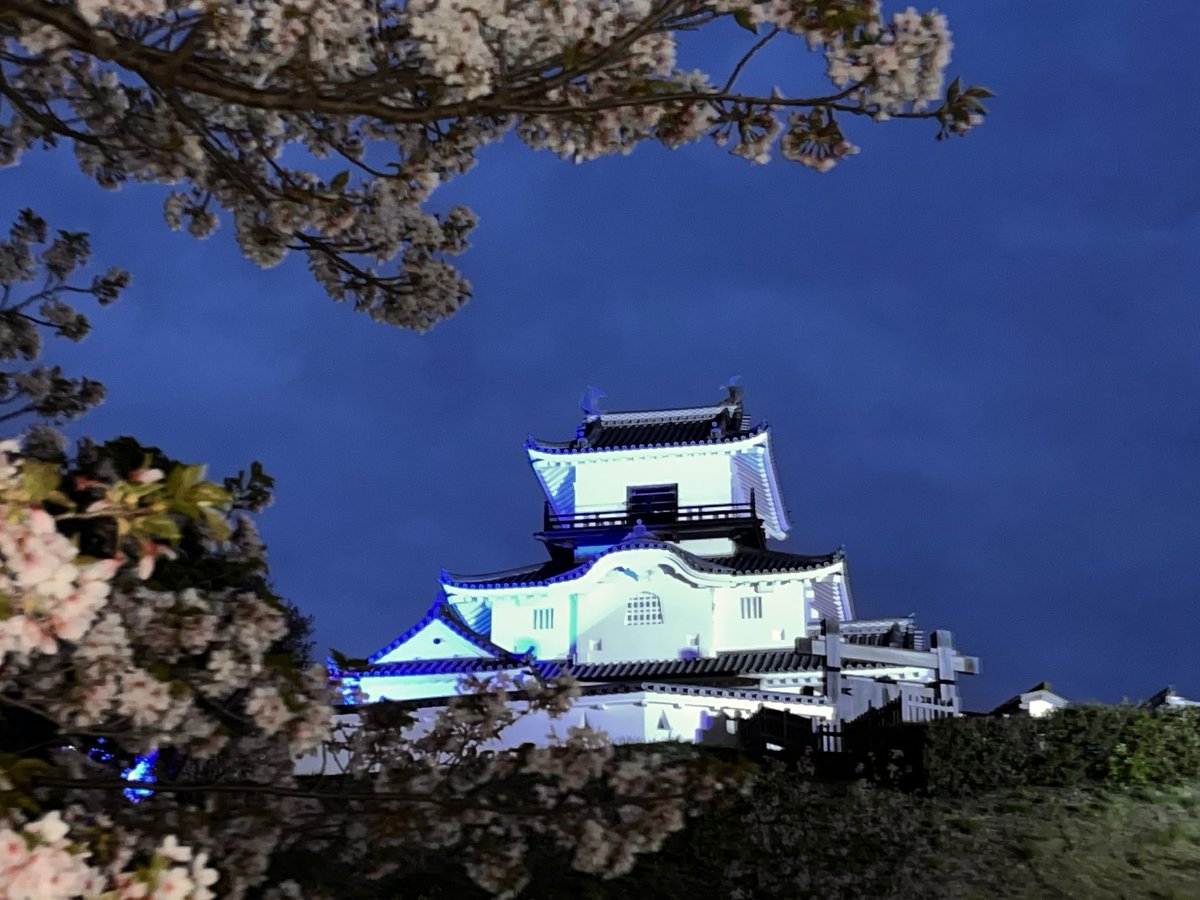 茶坊主 tweet media