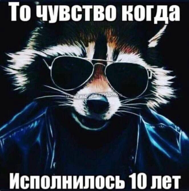 yoow tweet media
