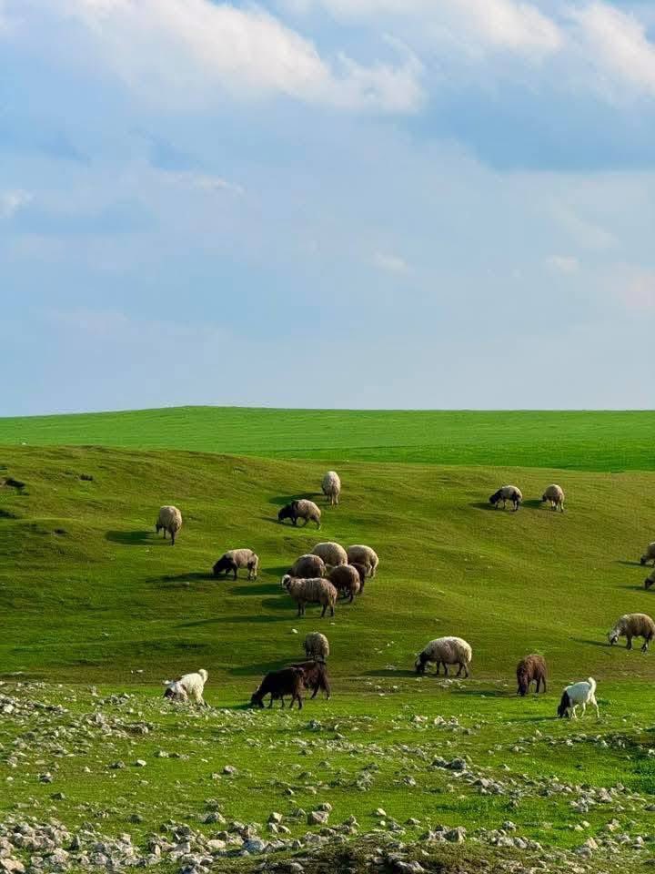 ✷ IRAQPOTAMIA tweet media