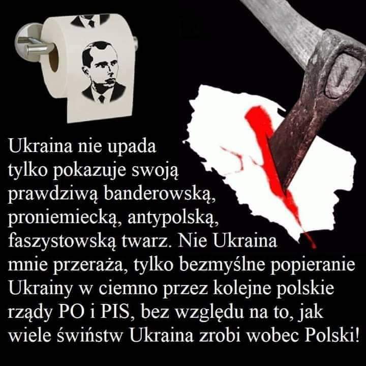 Historia Fotografią Pisana tweet media