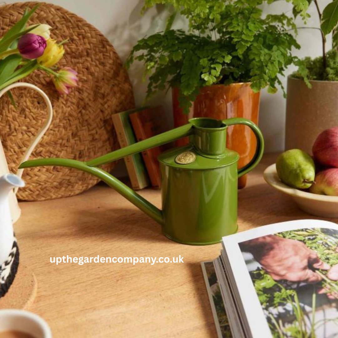 UpTheGardenCo's tweet image. A small moment of calm, in a natural shade.

Take a closer look: upthegardencompany.co.uk/garden/Haws-Th…

#houseplants #plantcare #indoorgarden #gardeninglife #slowliving #simpleliving #growyourown #ukgardens #everydaymoments #plantlovers
