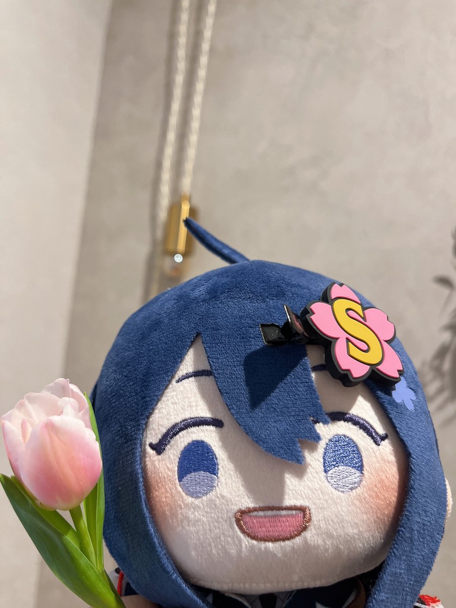 あまね🌸通販開始 tweet media