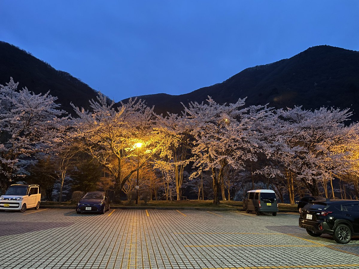 だいこん tweet media