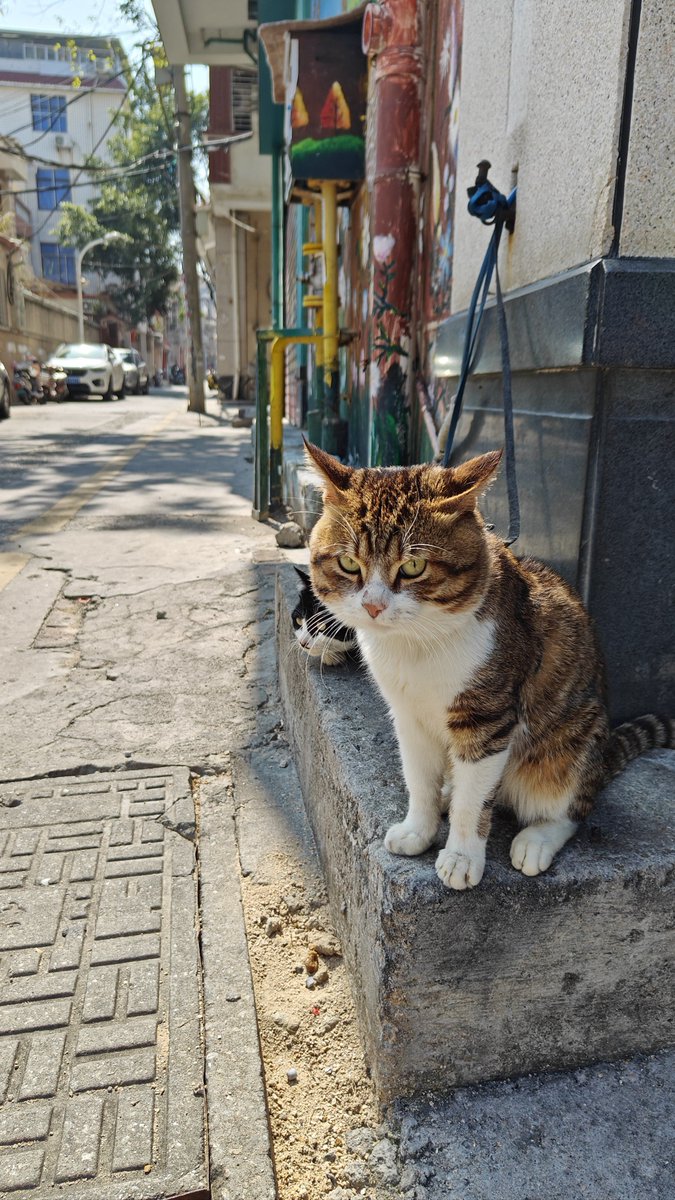 Nashville Recycling tweet media