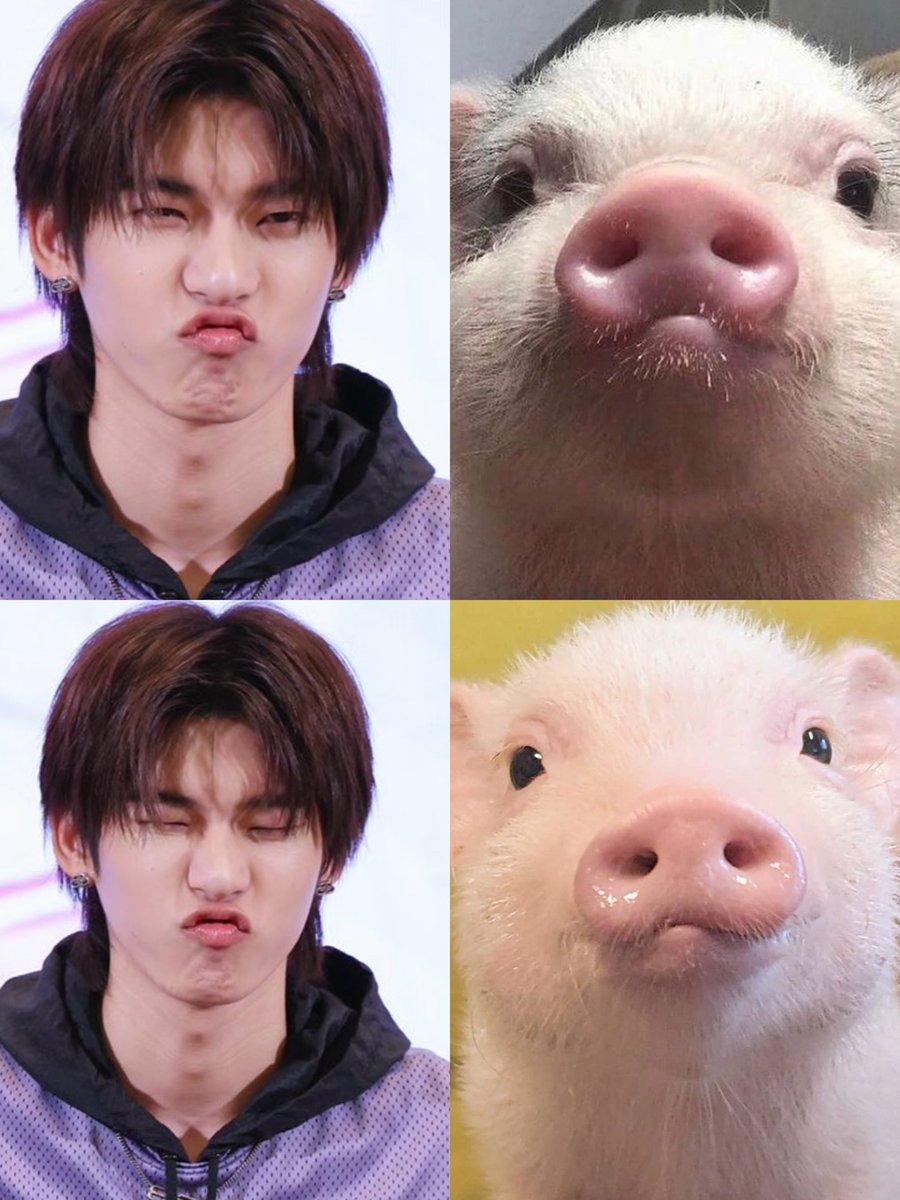 แงวชมพูวว ft.ตี๋ตี๋ป๋อ( •̯́ ₃ •̯̀) tweet media