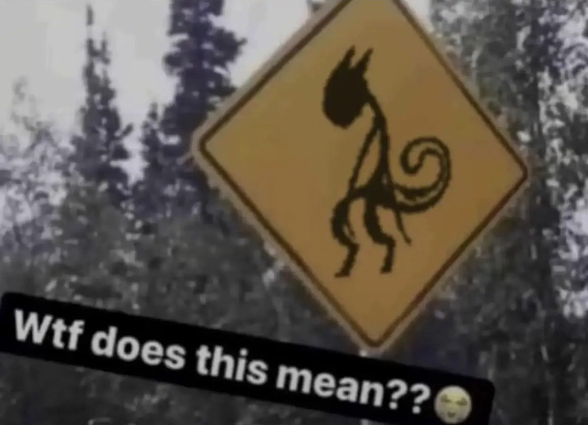 PoggerGamer 💀💀💀 tweet media