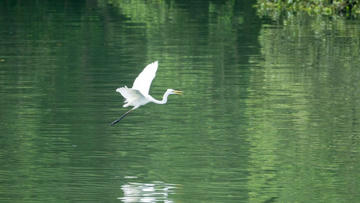 National Parks Board tweet media