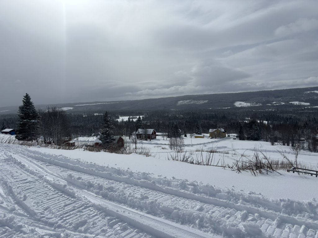 Stefan Nilsson tweet media