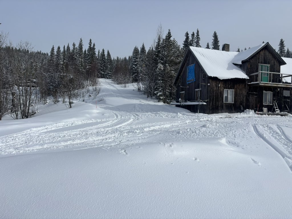 Stefan Nilsson tweet media