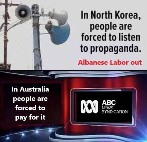 muffy kittens 🦘🇦🇺🌷🌍🦜🐕🐕 tweet media