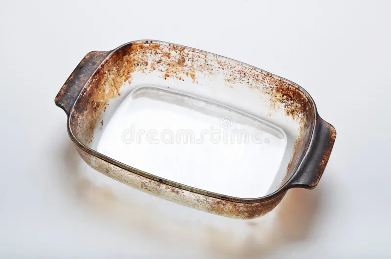 Border Collie (בורדר קולי) tweet media