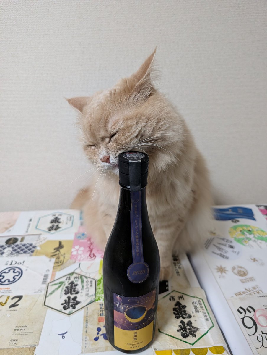 春日美羽🔰 tweet media