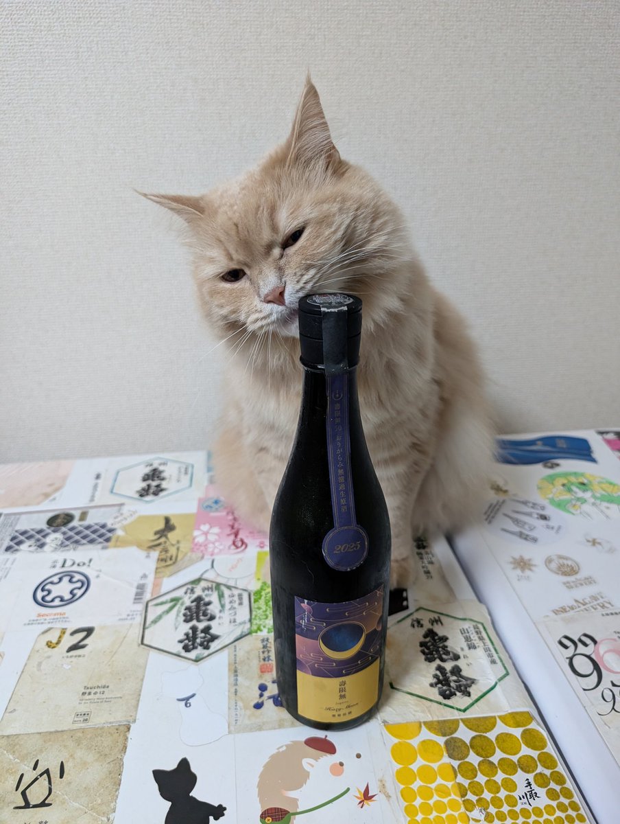 春日美羽🔰 tweet media