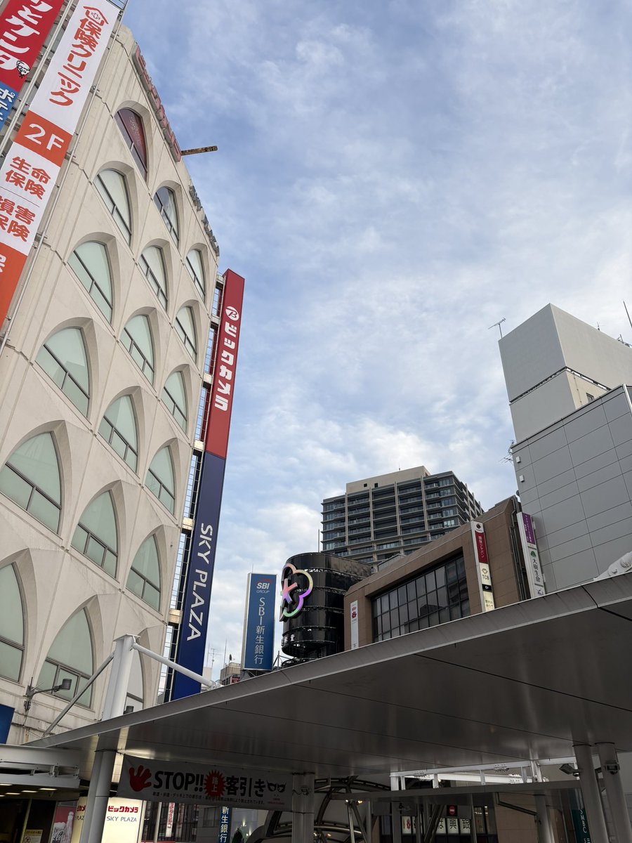 アキSONGBIRD7/8柏PALOOZA tweet media