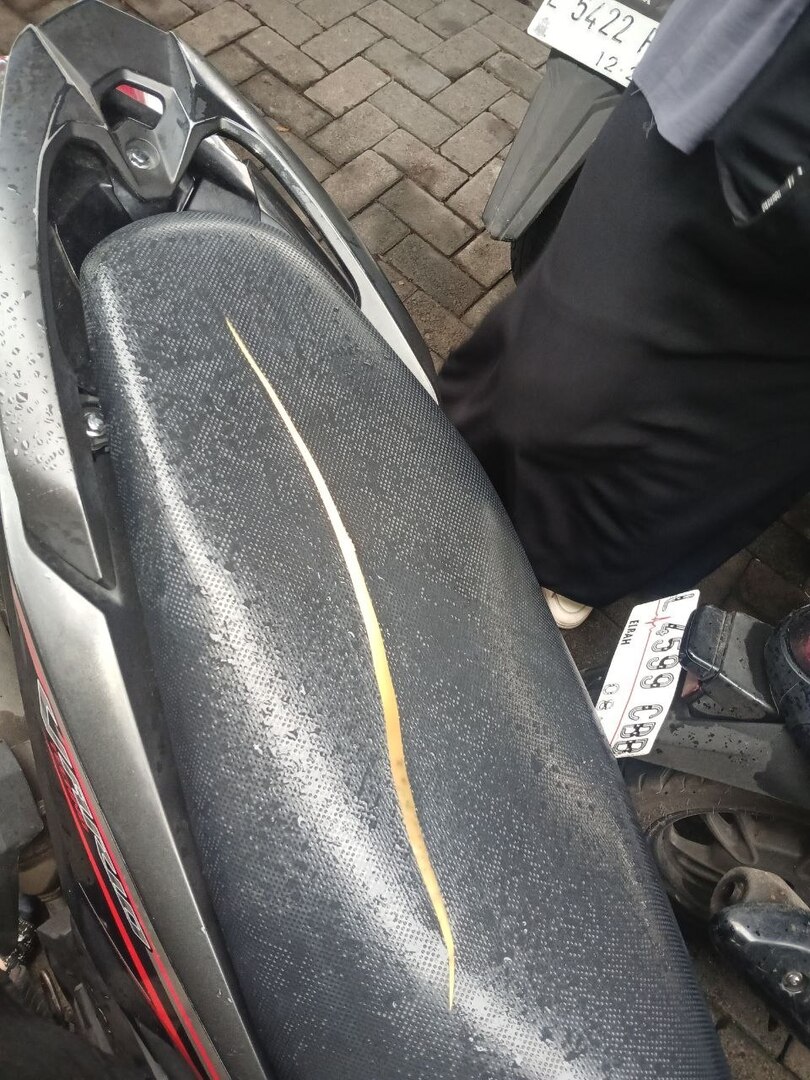 Unesa Fess tweet media