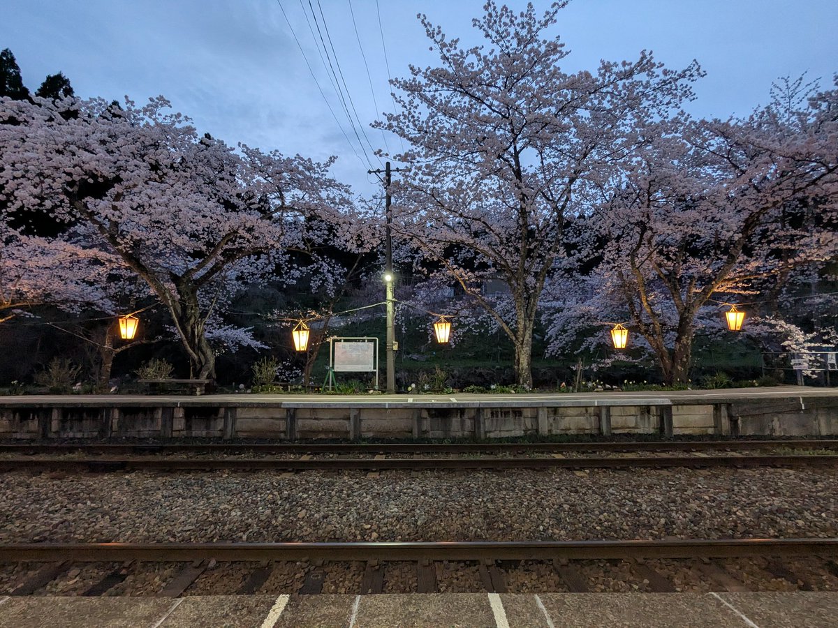 nototetsu tweet picture