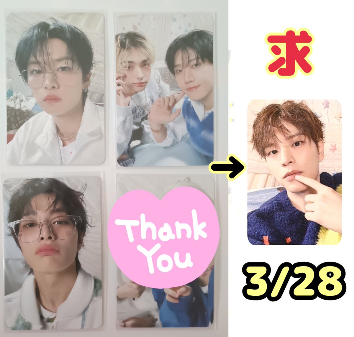 ぽむぽむ tweet media