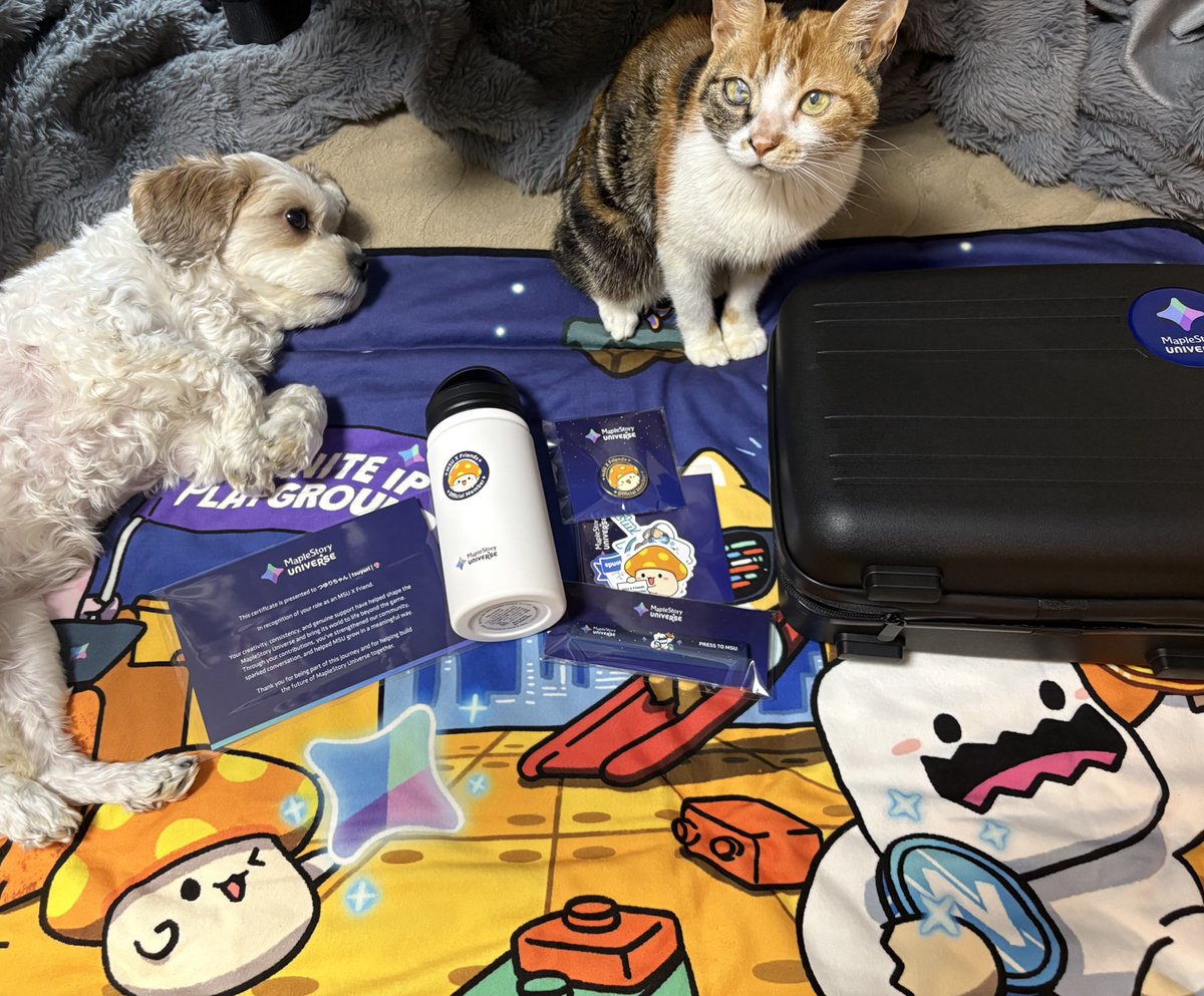 つゆりちゃん | tsuyuri | 🍄 tweet media