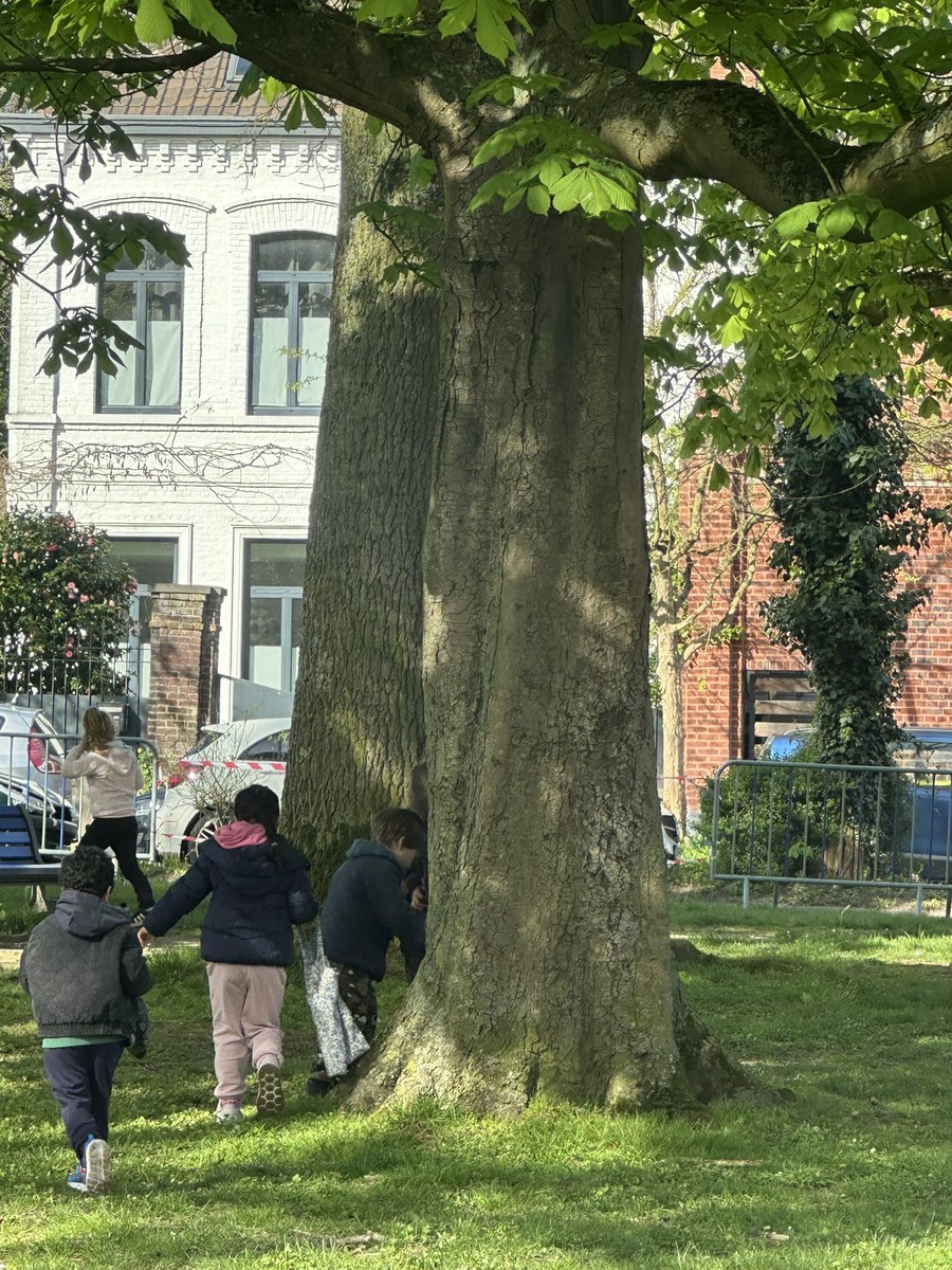 Victor Catteau tweet media