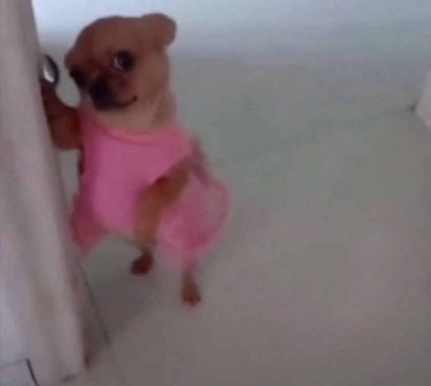 『 Ruè。』 tweet media