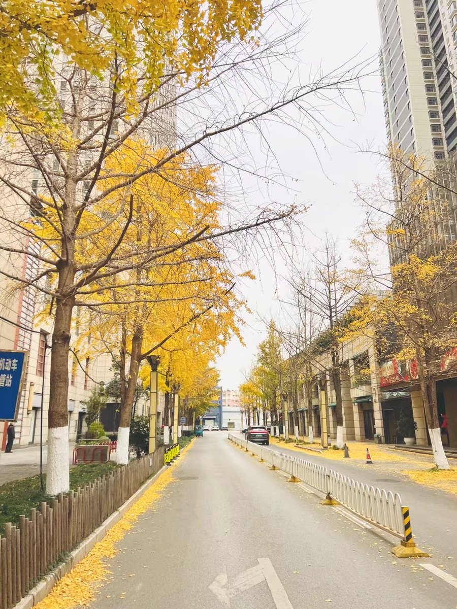 Amy Clancy tweet media