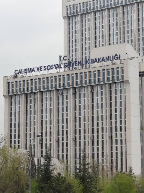 Eylem Zengin tweet media