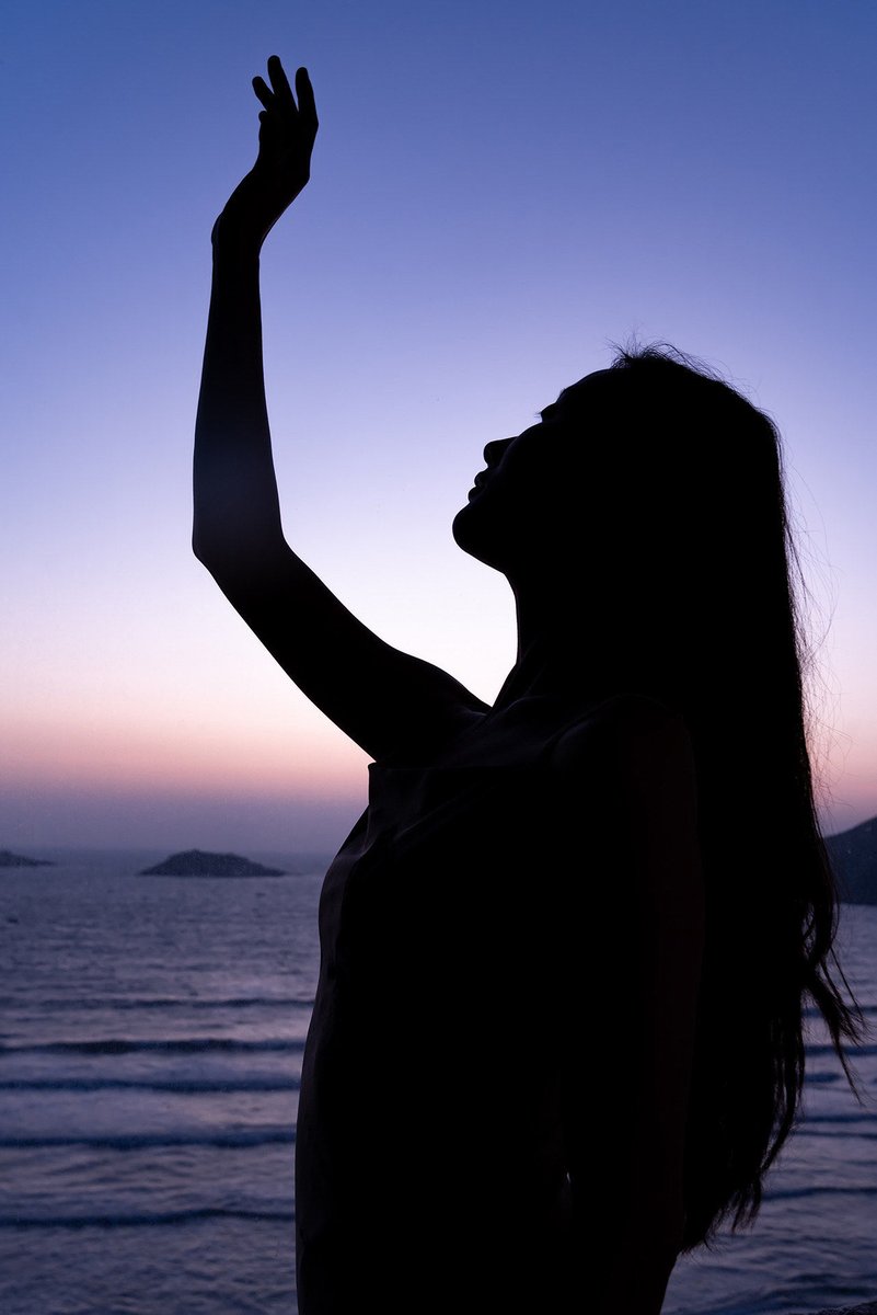 Jack Haan tweet media