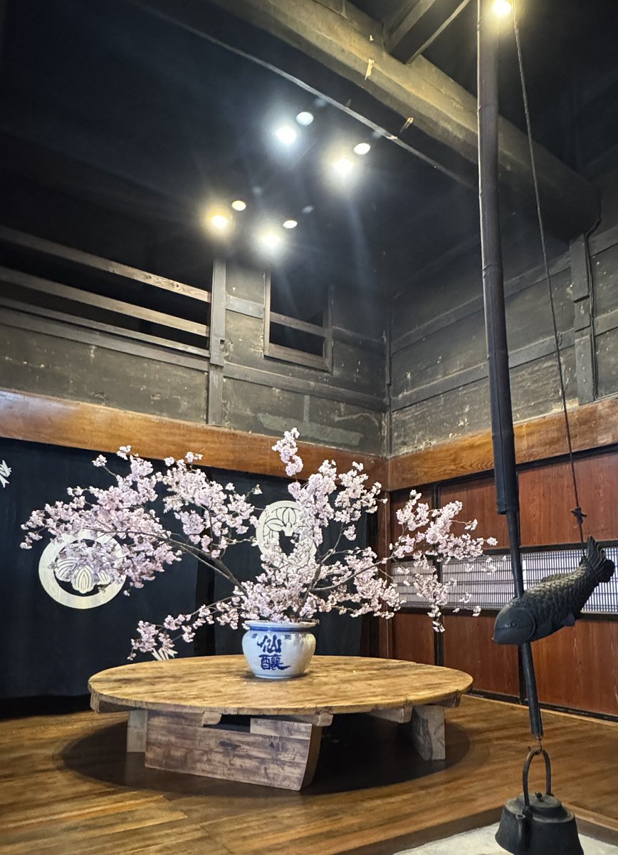 にこ( nico ) tweet media