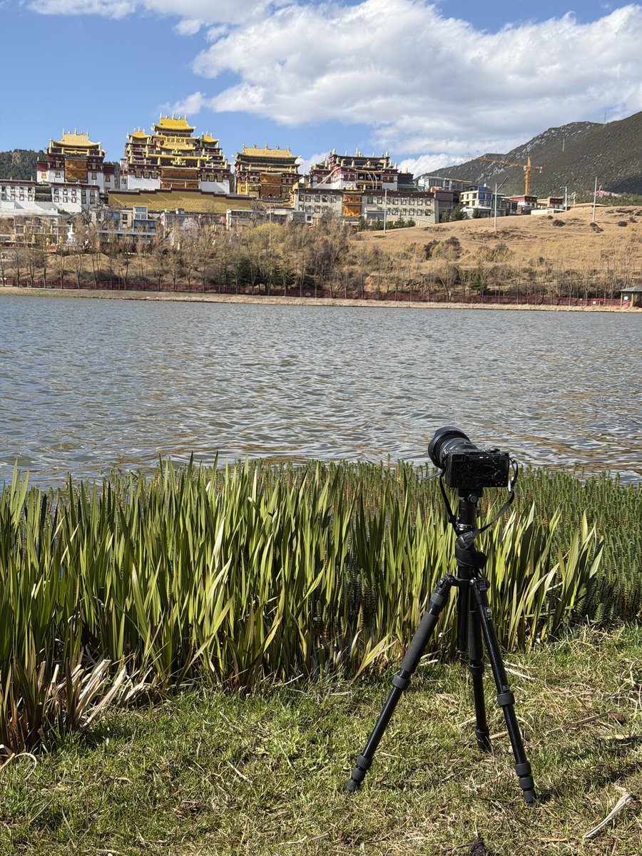 Kenji-san tweet media