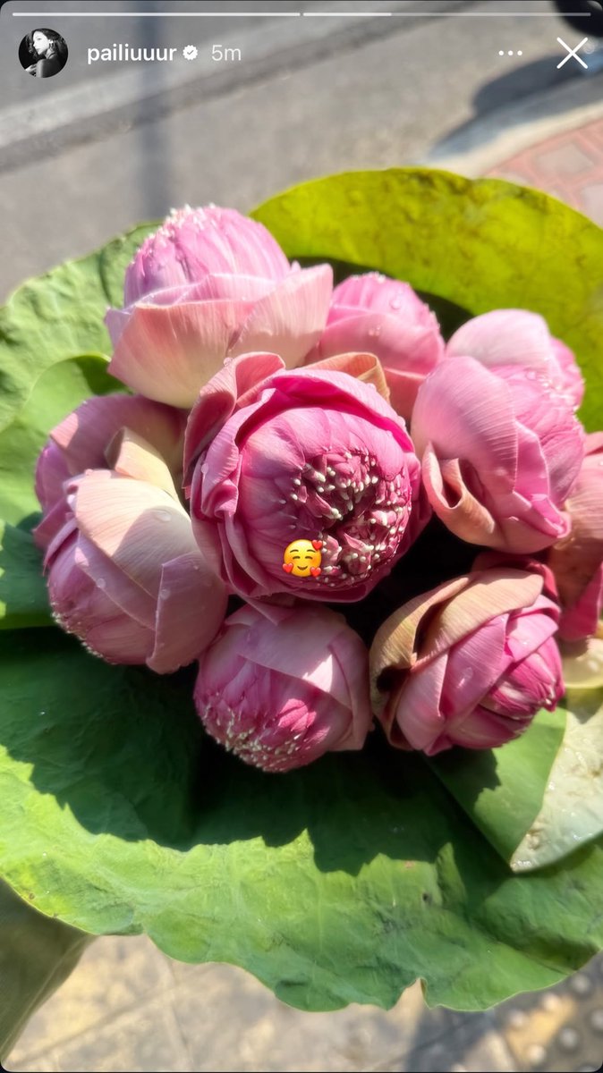 PAILIU GLOBAL tweet media