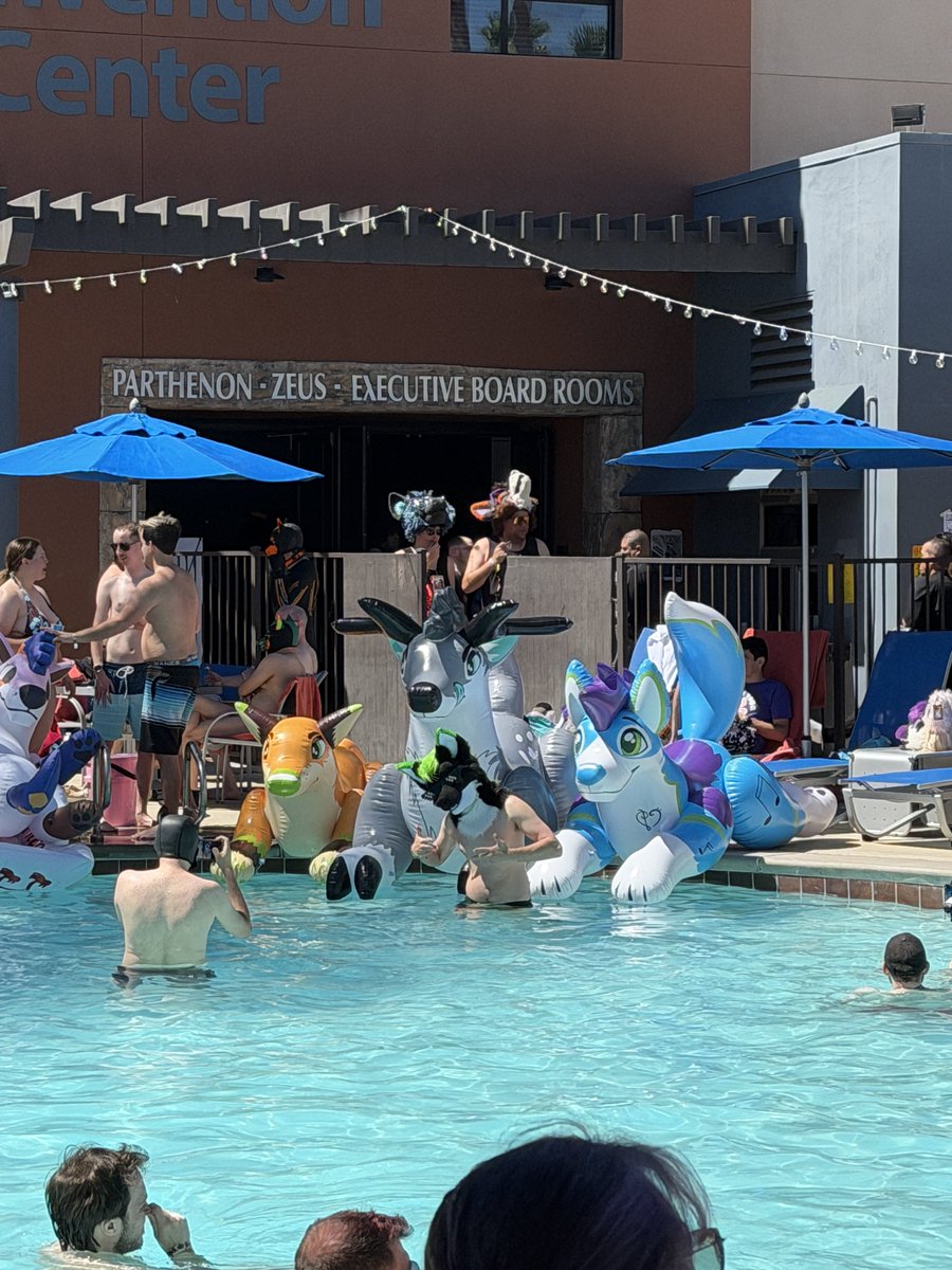 YeenJunk's tweet photo. A con worth giving your time to, thanks for the memories #lvfc https://t.co/APmXCKa0wA