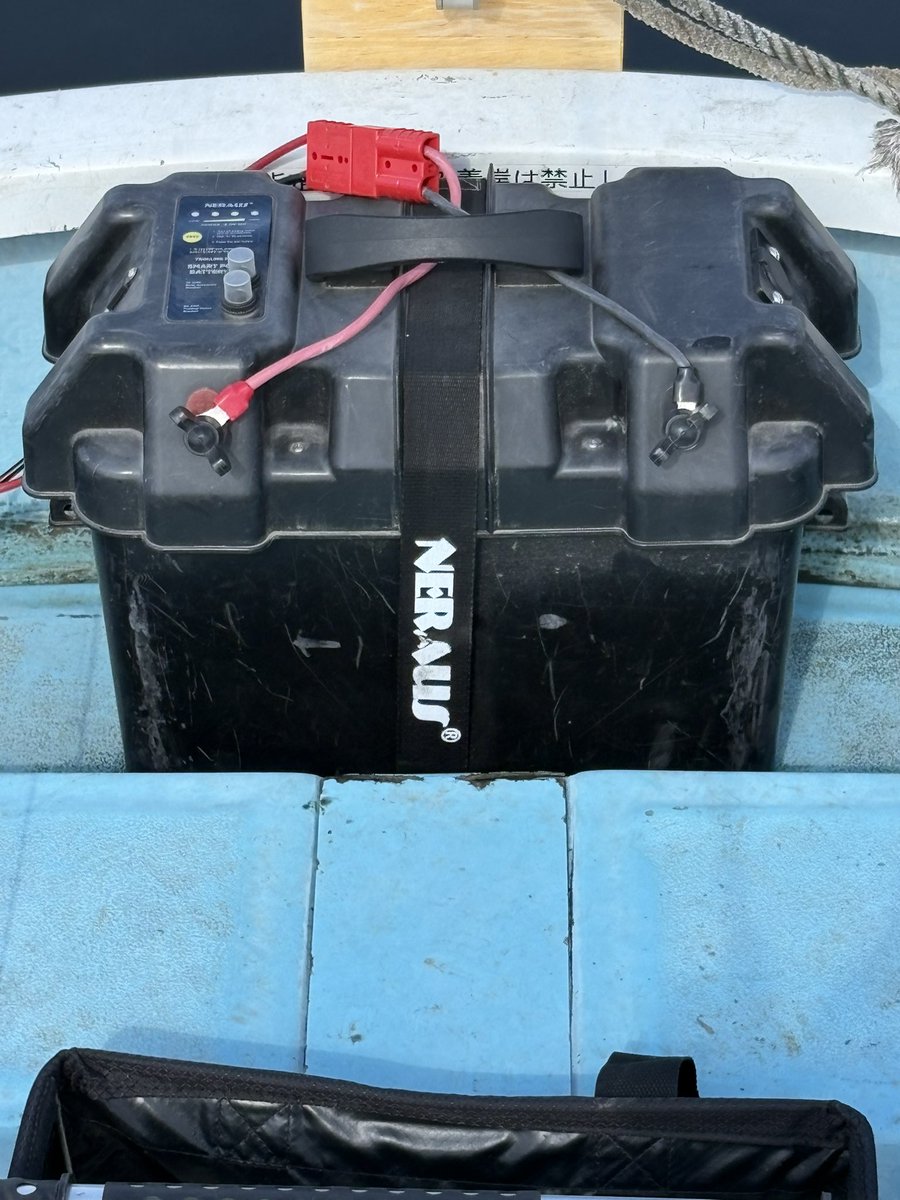 🩷さとちゃんぺ🩷 tweet media