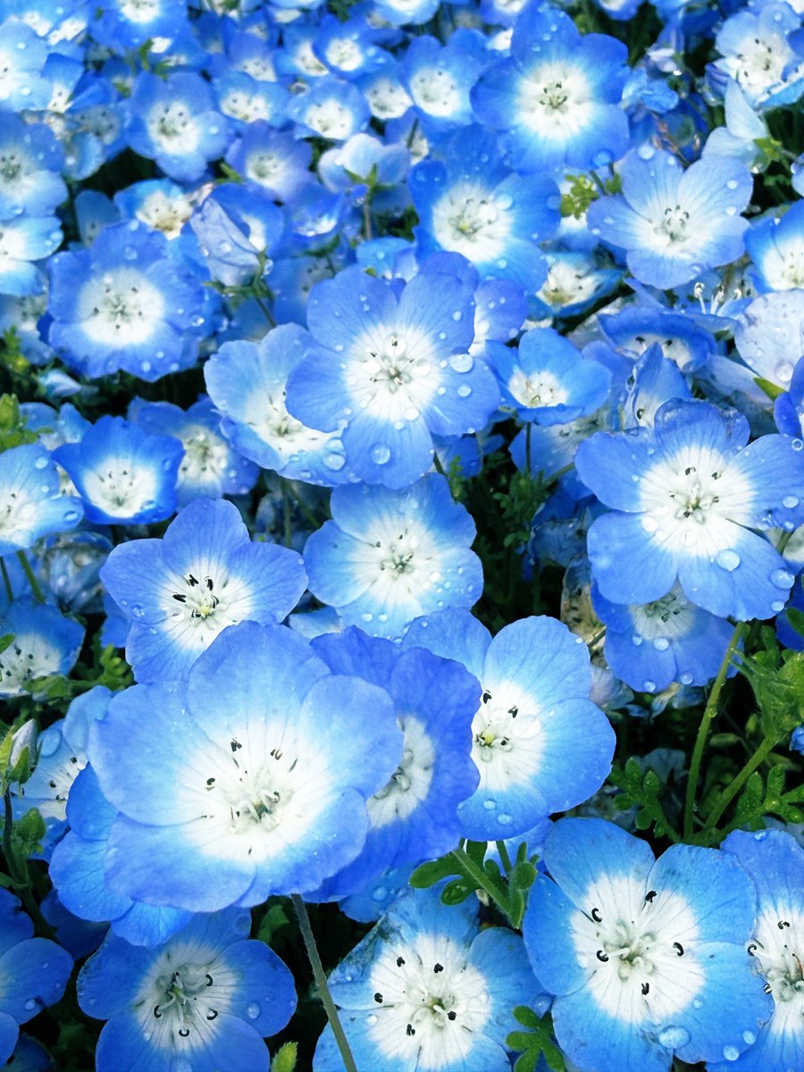 うに🧡 tweet media