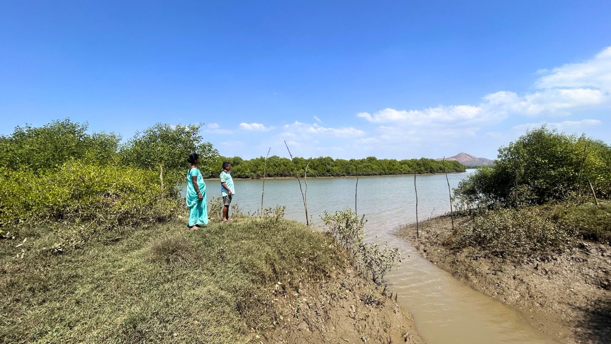 UNDP India tweet media