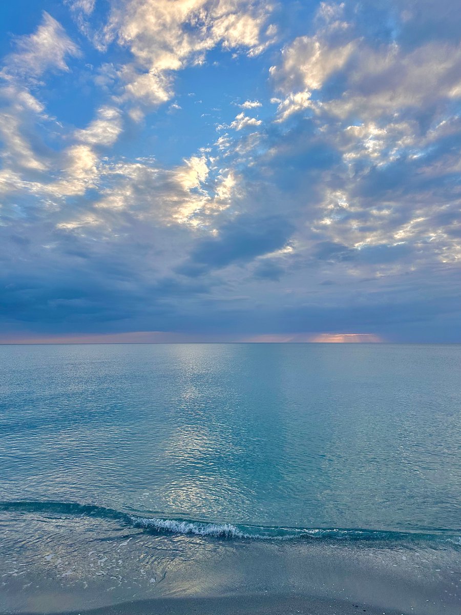 Mira🌺 tweet media