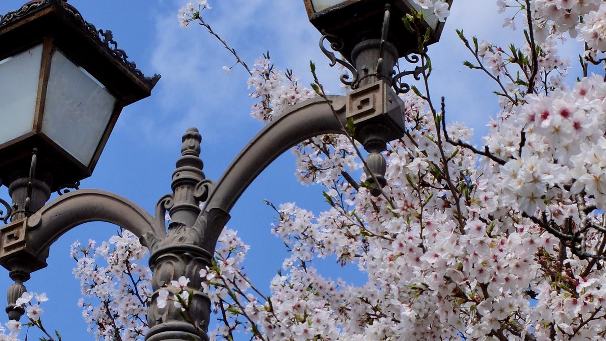 hyago／ひゃご tweet media