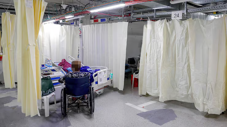 Shaiel Ben-Ephraim tweet media