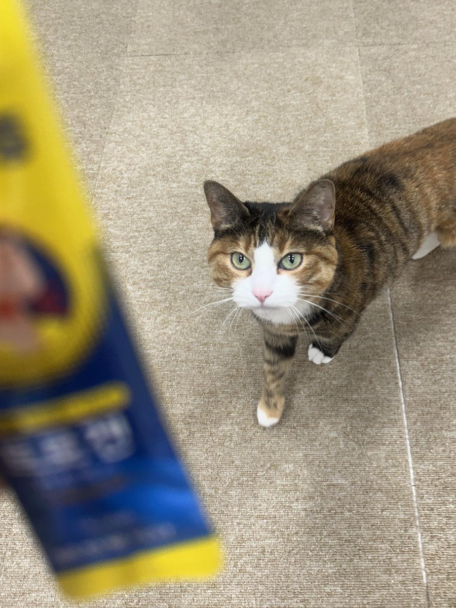 무병장수이 tweet media