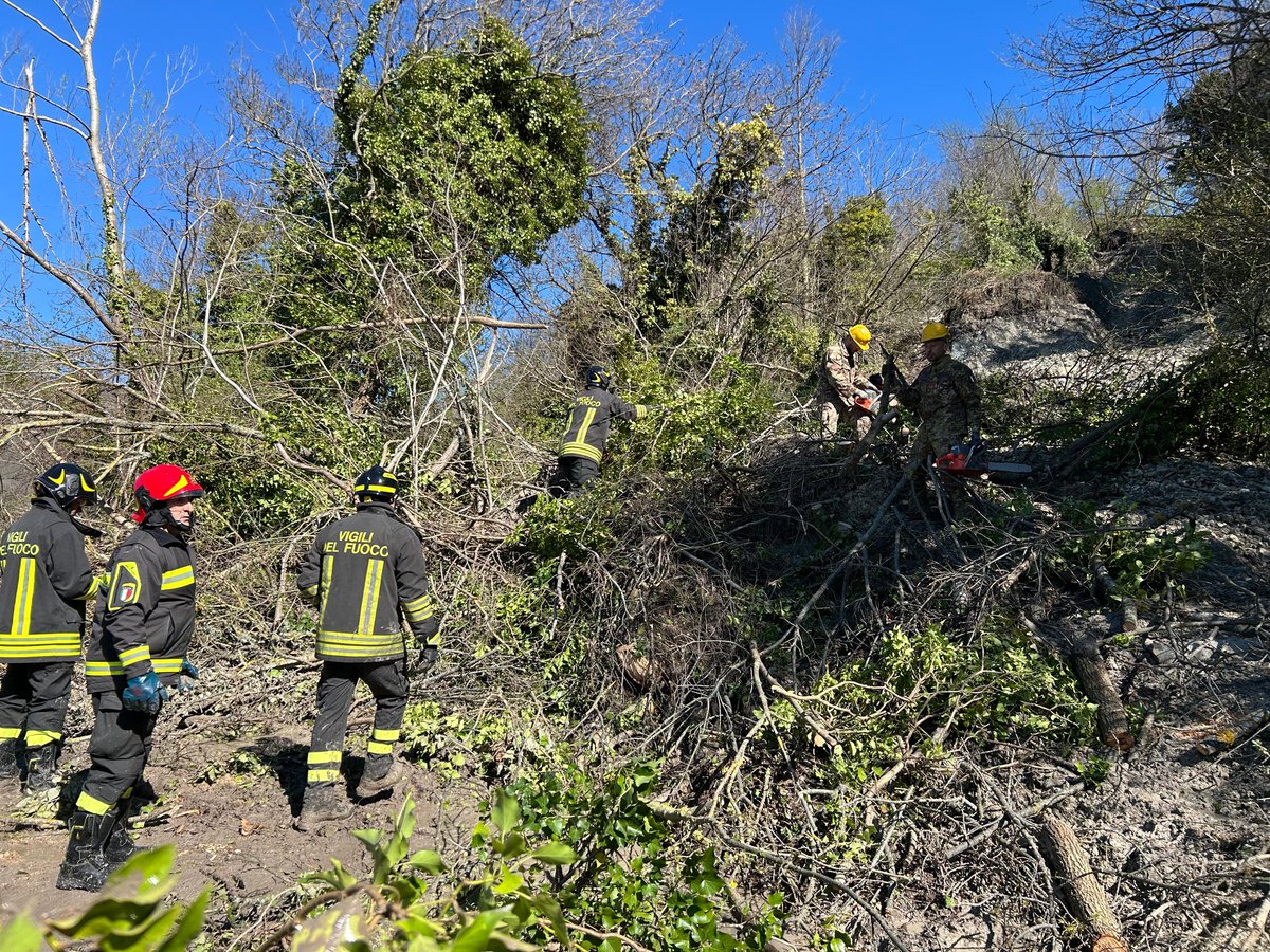 Ministero Difesa tweet media