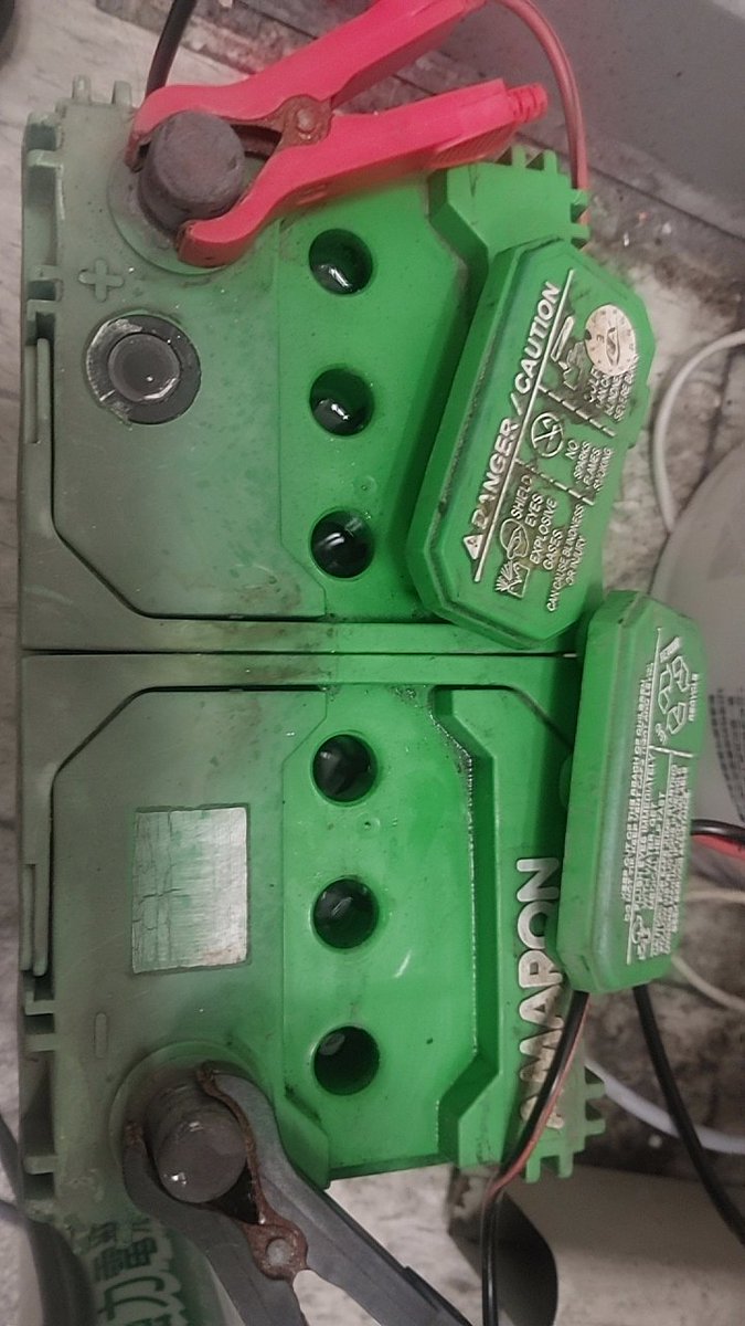 Kircheis 小孩貓🐱 tweet media