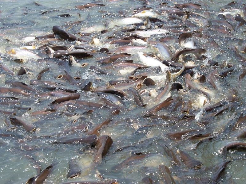 ᰔᴀʀᴋɴᴀᴛ⁹⁷☃️ tweet media