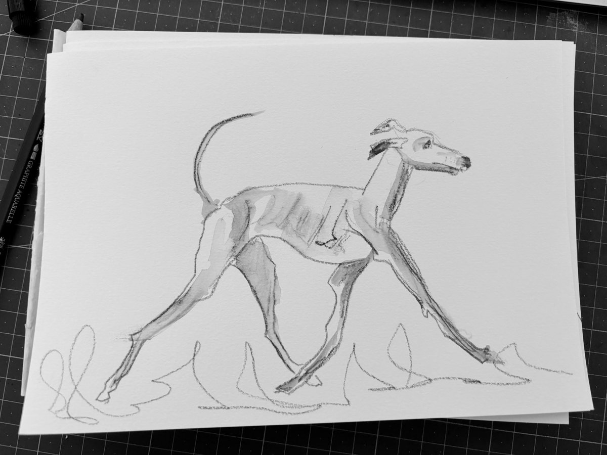 Probando el lápiz de grafito acuarelable con mi perro Obichuelo 💙