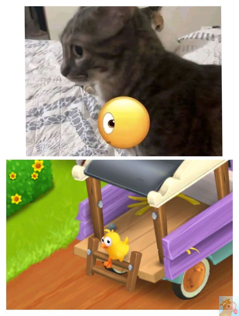 🐄🌾🚜: HAY DAY FESS 🪷 tweet media