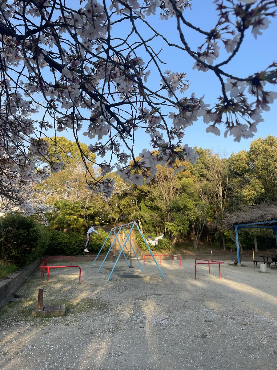 今井千香 tweet media