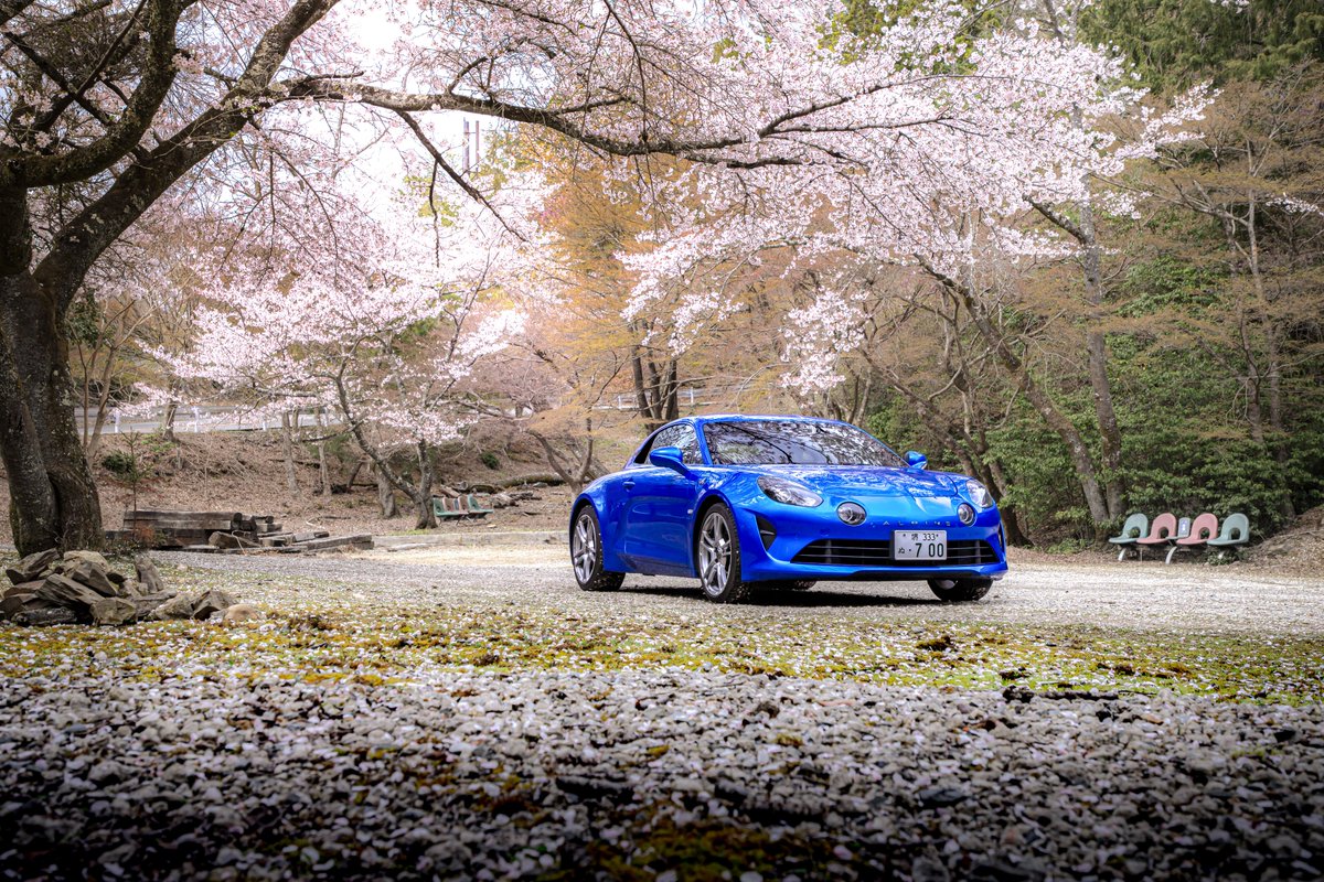 ピヌガヌ tweet media